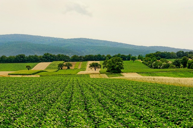 regenerative_agriculture_indochem_agrovet_blog-image regenerative_agriculture_indochem_agrovet_blog-image