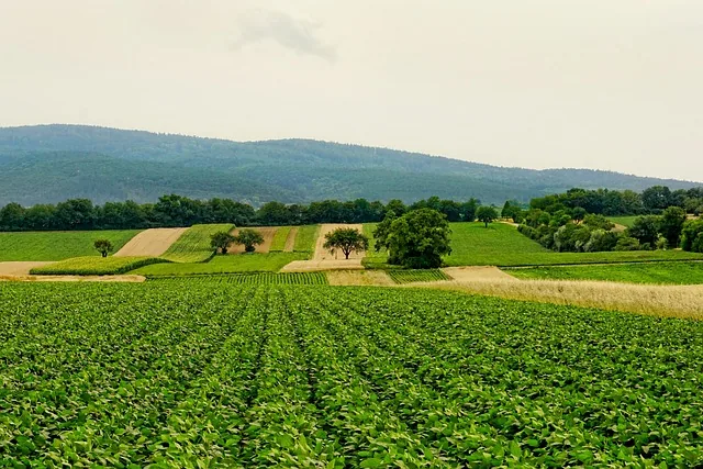 regenerative_agriculture_indochem_agrovet_blog-image