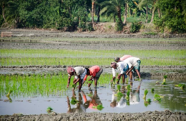 sustainable_farming_indochem_agrovet_blog-image sustainable_farming_indochem_agrovet_blog-image