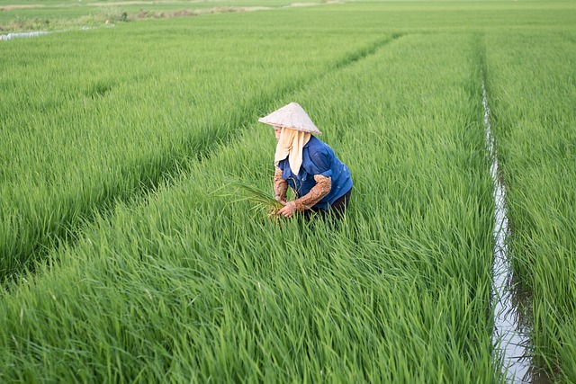 biodynamic_farming_indochem_agrovet_blog-image biodynamic_farming_indochem_agrovet_blog-image