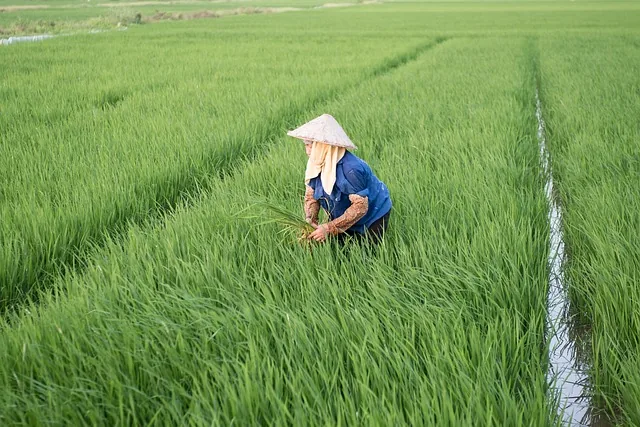 biodynamic_farming_indochem_agrovet_blog-image