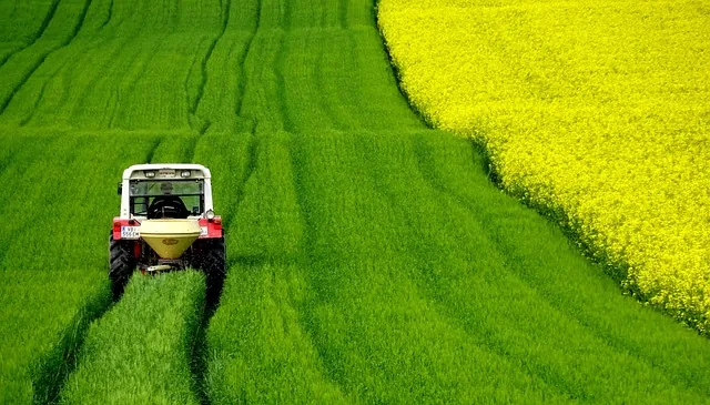 seasonal_crop_care_indochem_agrovet_blog-image seasonal_crop_care_indochem_agrovet_blog-image