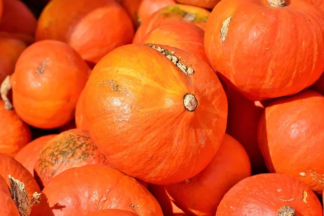 crop_disease_management_indochem_agrovet_blog_image crop_disease_management_indochem_agrovet_blog_image