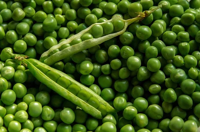organic_farming_indochem_agrovet_blog_image