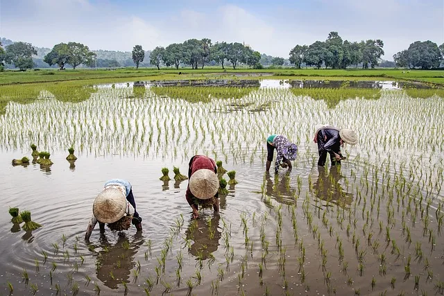 helping_small_and_marginal_farmers_indochem_agrovet_blog_image