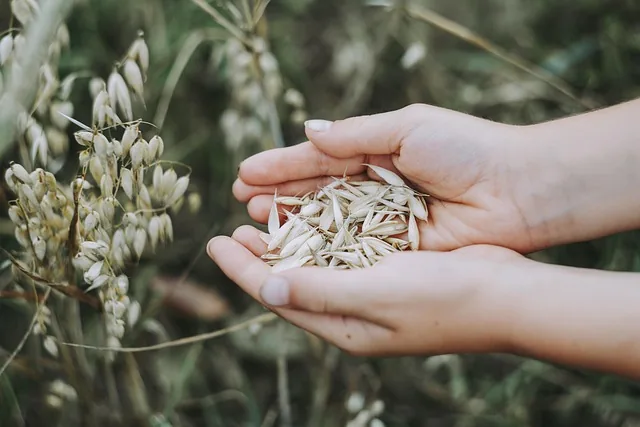 crop_nutrition_solutions _indochem_agrovet_blog_image