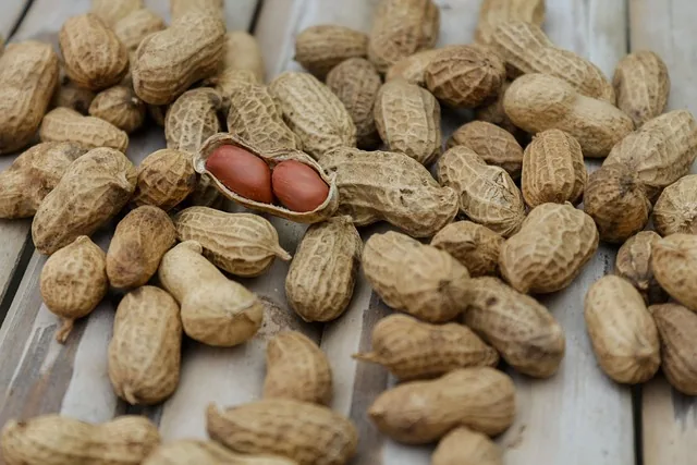 crop_nutrition_solutions_indochem_agrovet_blog_image