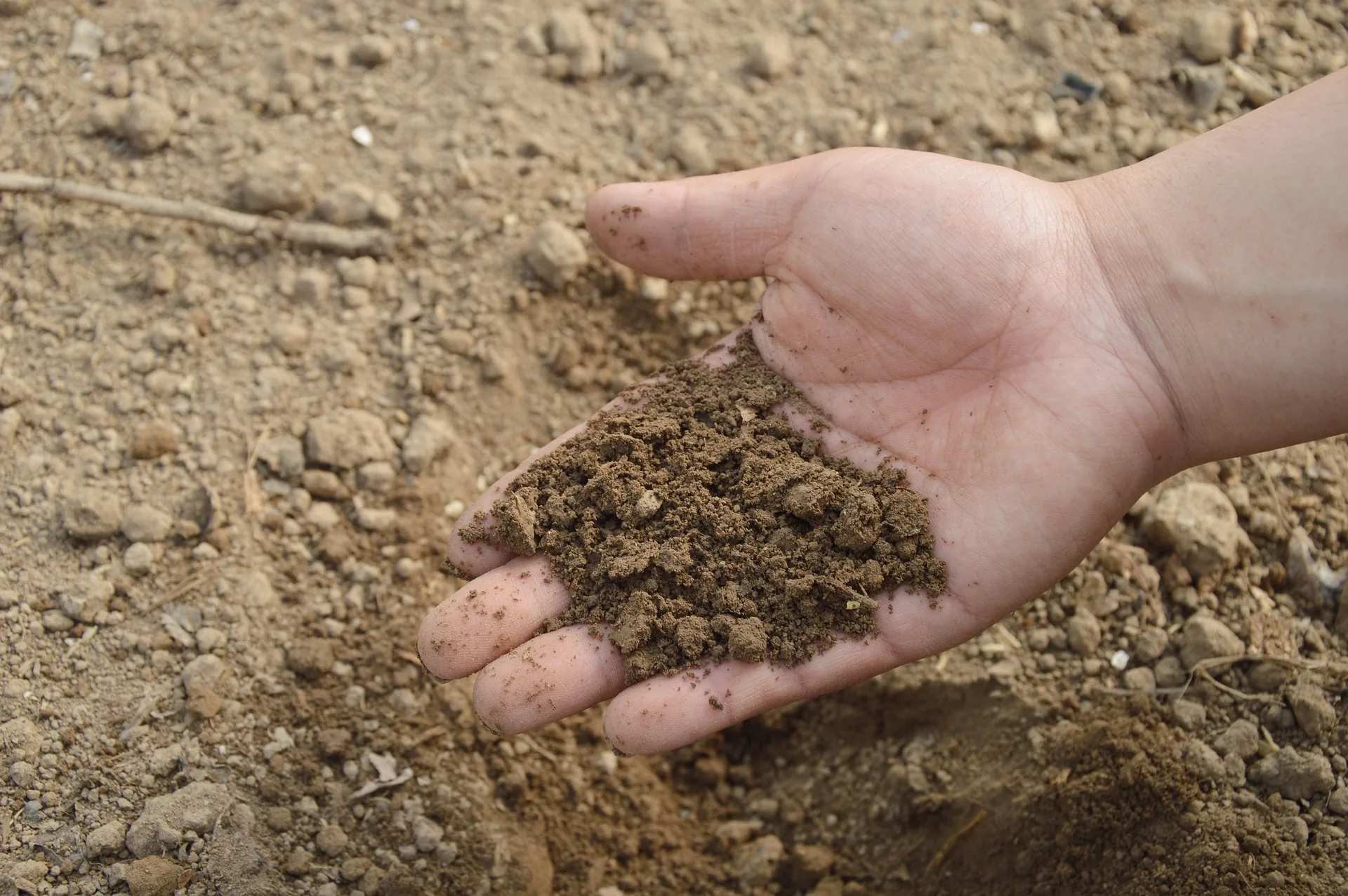 Buy Micronutrients for High Crop Yield Buy Micronutrients for High Crop Yield