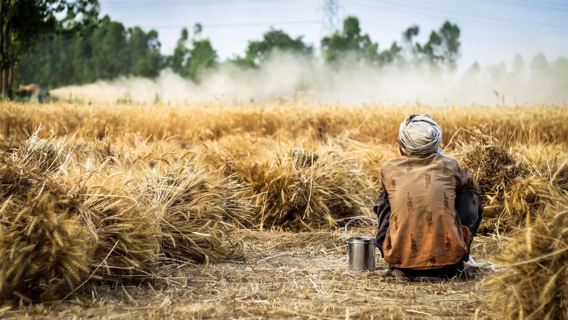 Best Organic Farming Products in India