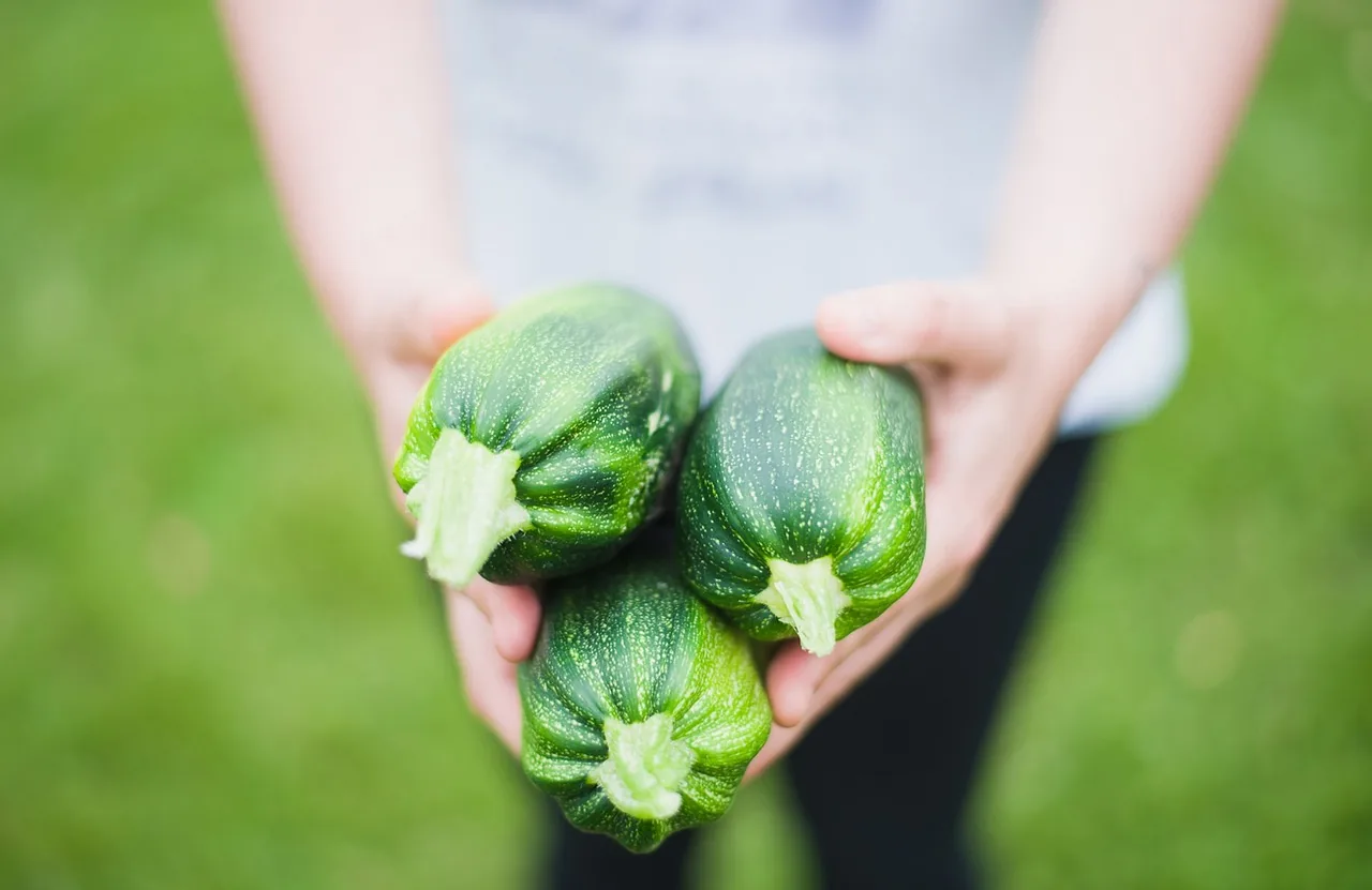 Natural Farming Inputs for Agriculture Natural Farming Inputs for Agriculture