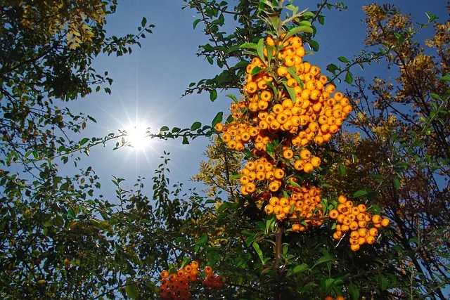 bio-fertilizers_for_crops_indochem_agrovet_blog_image