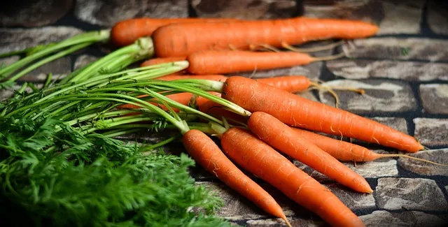 organic_farming_indochem_agrovet_blog_image