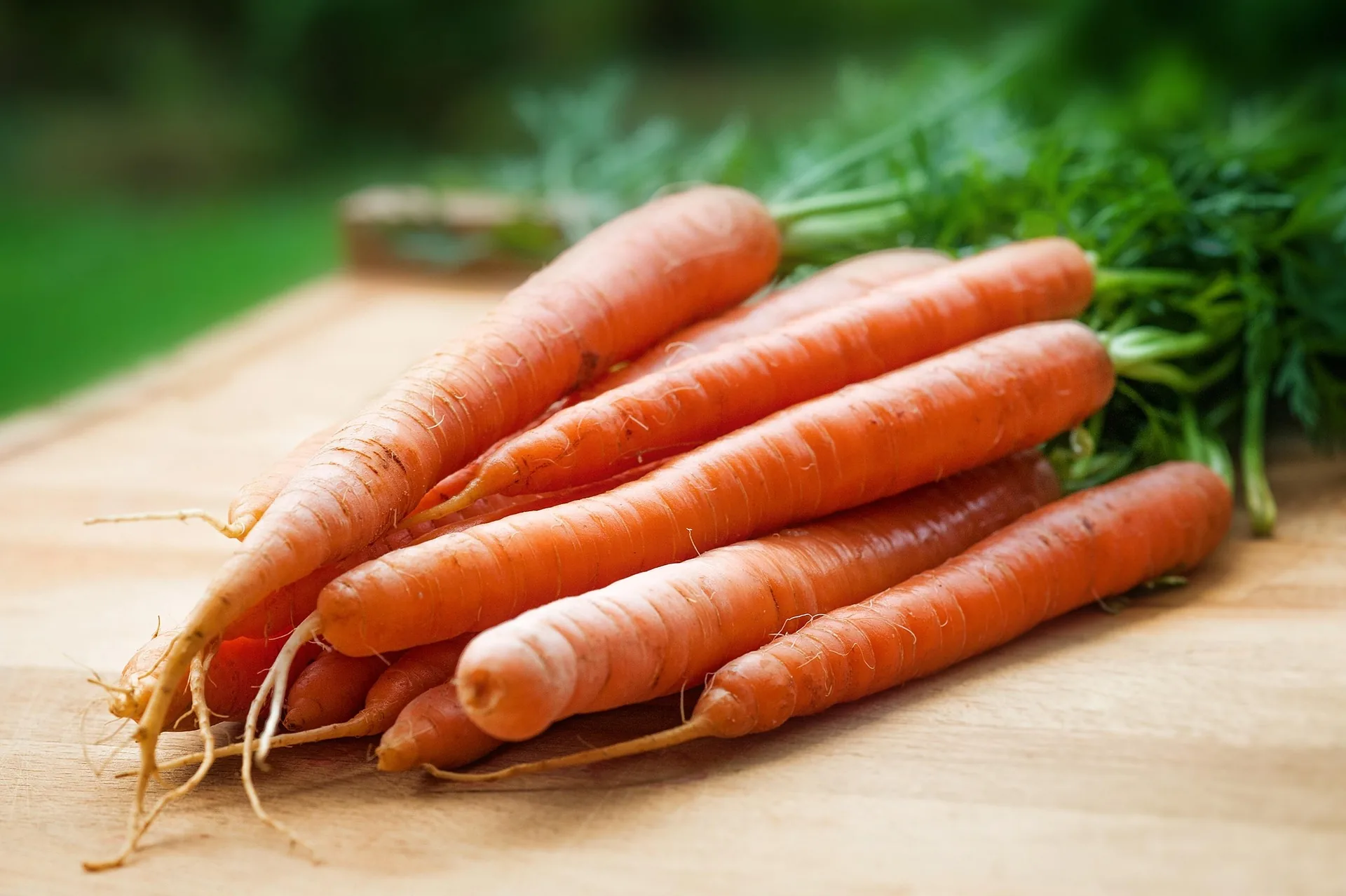 Organic Pesticides for Safe Crops India