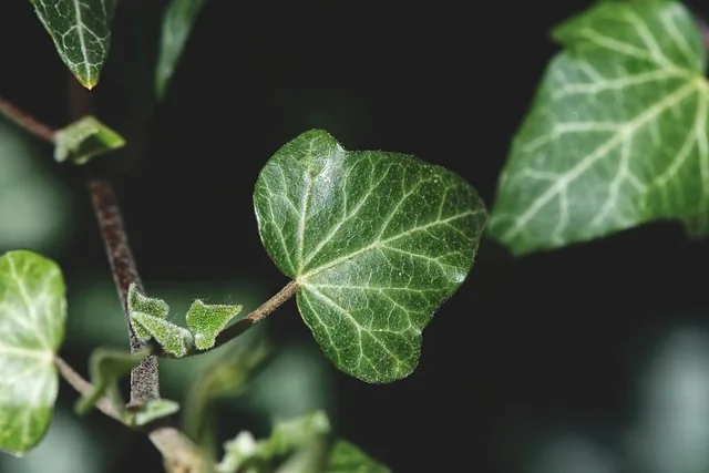 plant_growth_technologies_indochem_agrovet_blog_image
