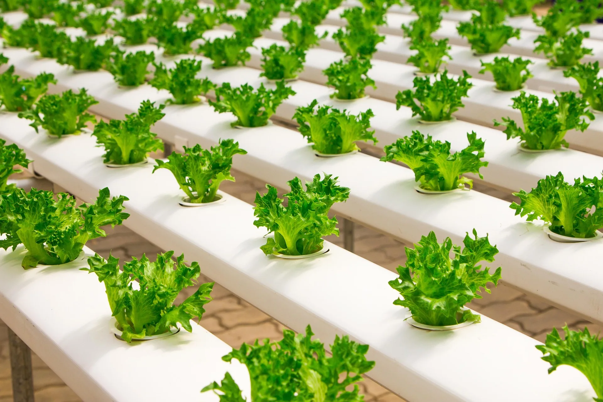 Sustainable Farming Inputs for Growth
