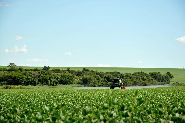 water-soluble_fertilizers_indochem_agrovet_blog_image