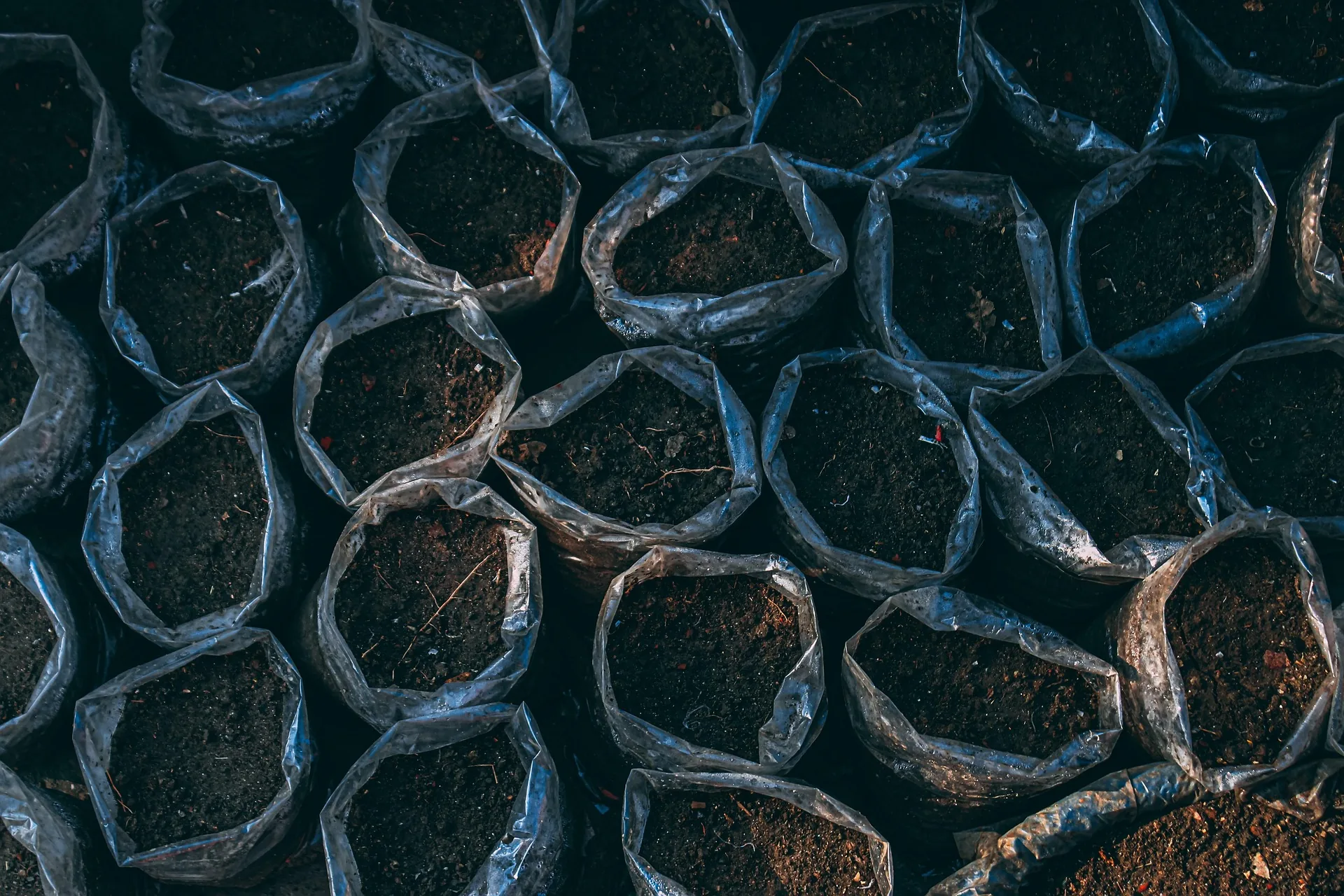 Soil Boost Fertility