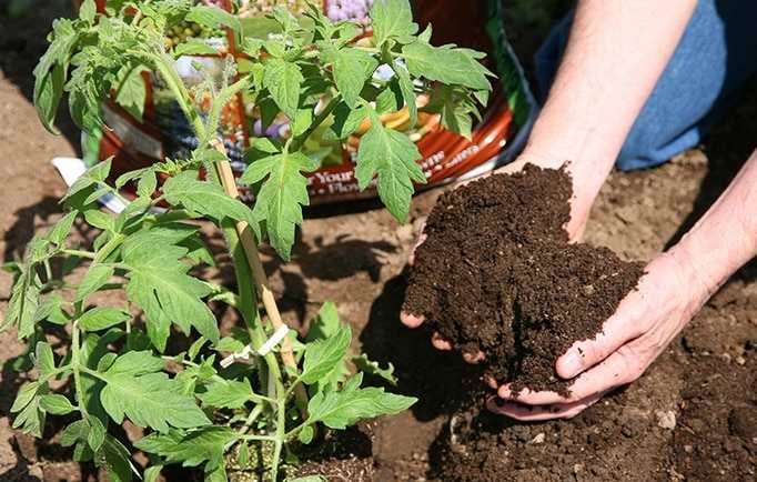 improve_soil_health_with_organic_manure_indochem_agrovet_blog_image