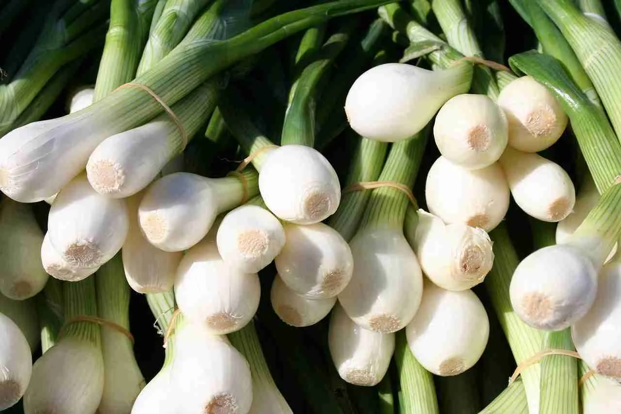 eco-friendly_crop_protection_in_india_indochem_agrovet_blog_image