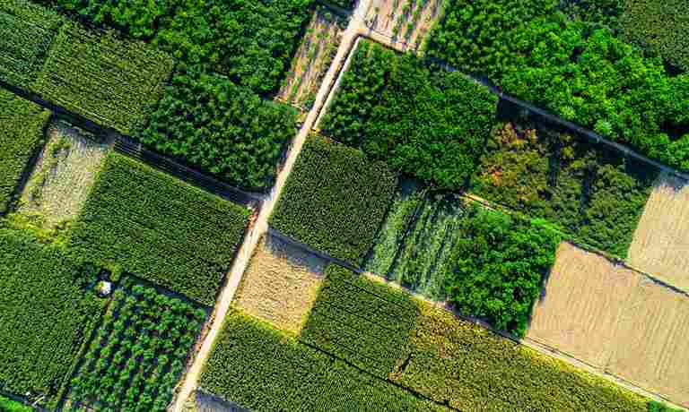 eco_agriculture_farm_success_indochem_agrovet_blog_image