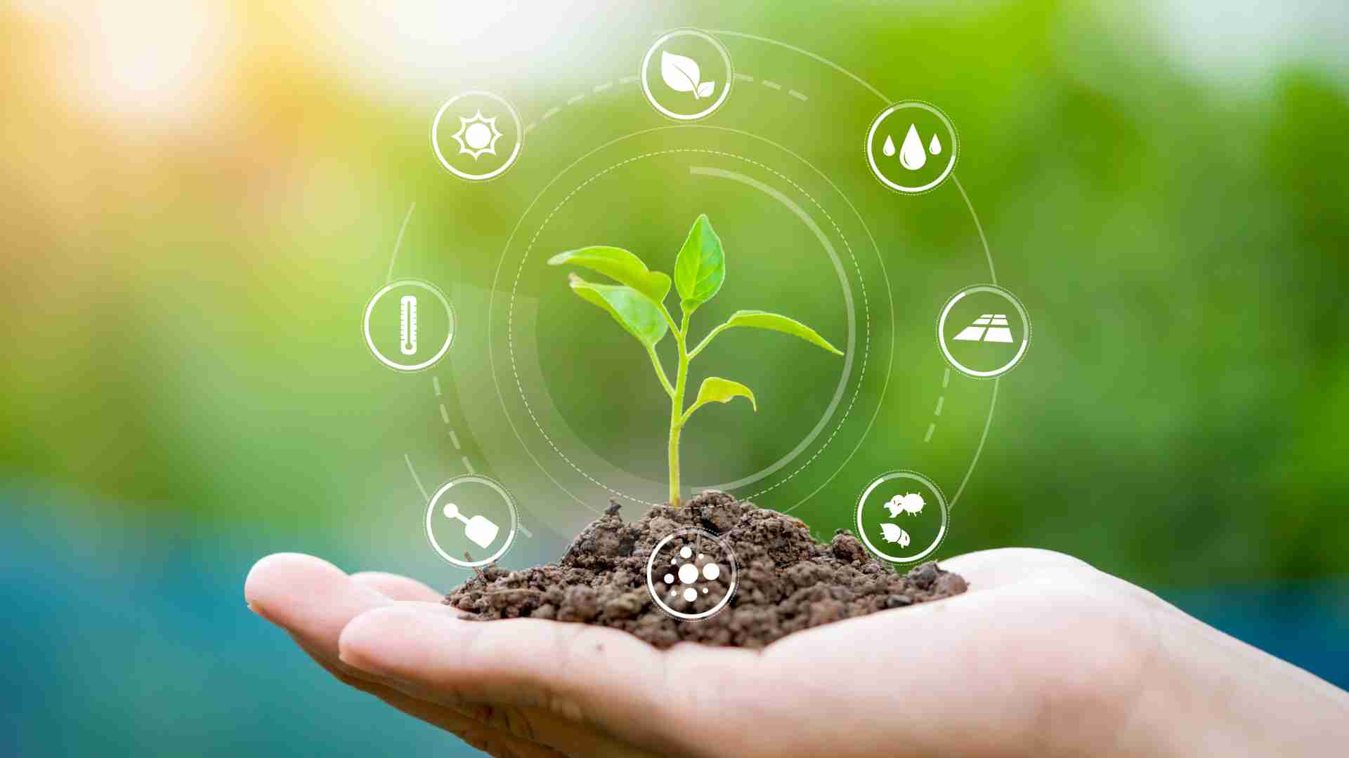 eco_agriculture_for_farm_growth_indochem_agrovet_blog_image