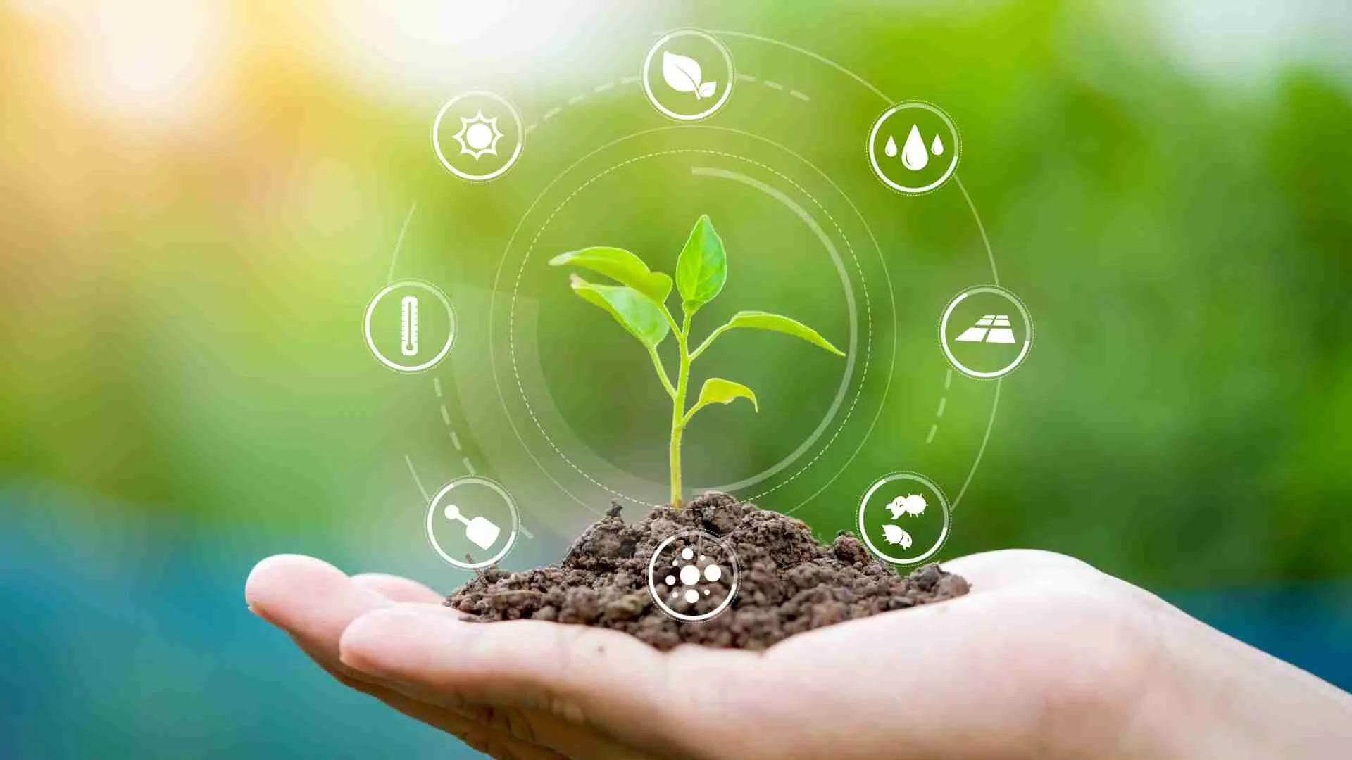 eco_agriculture_for_farm_growth_indochem_agrovet_blog_image