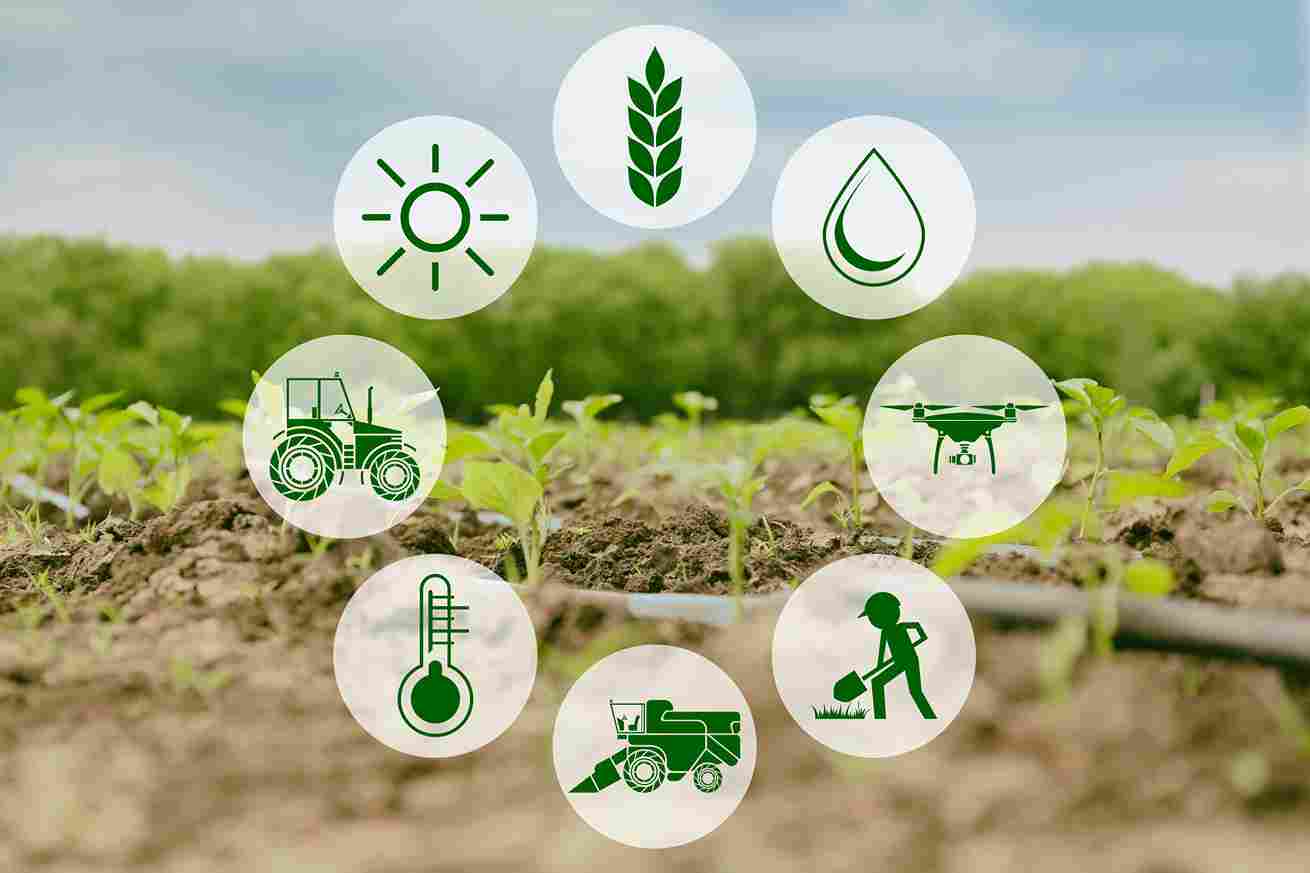 smart_farming_methods_for_crops_indochem_agrovet_blog_image