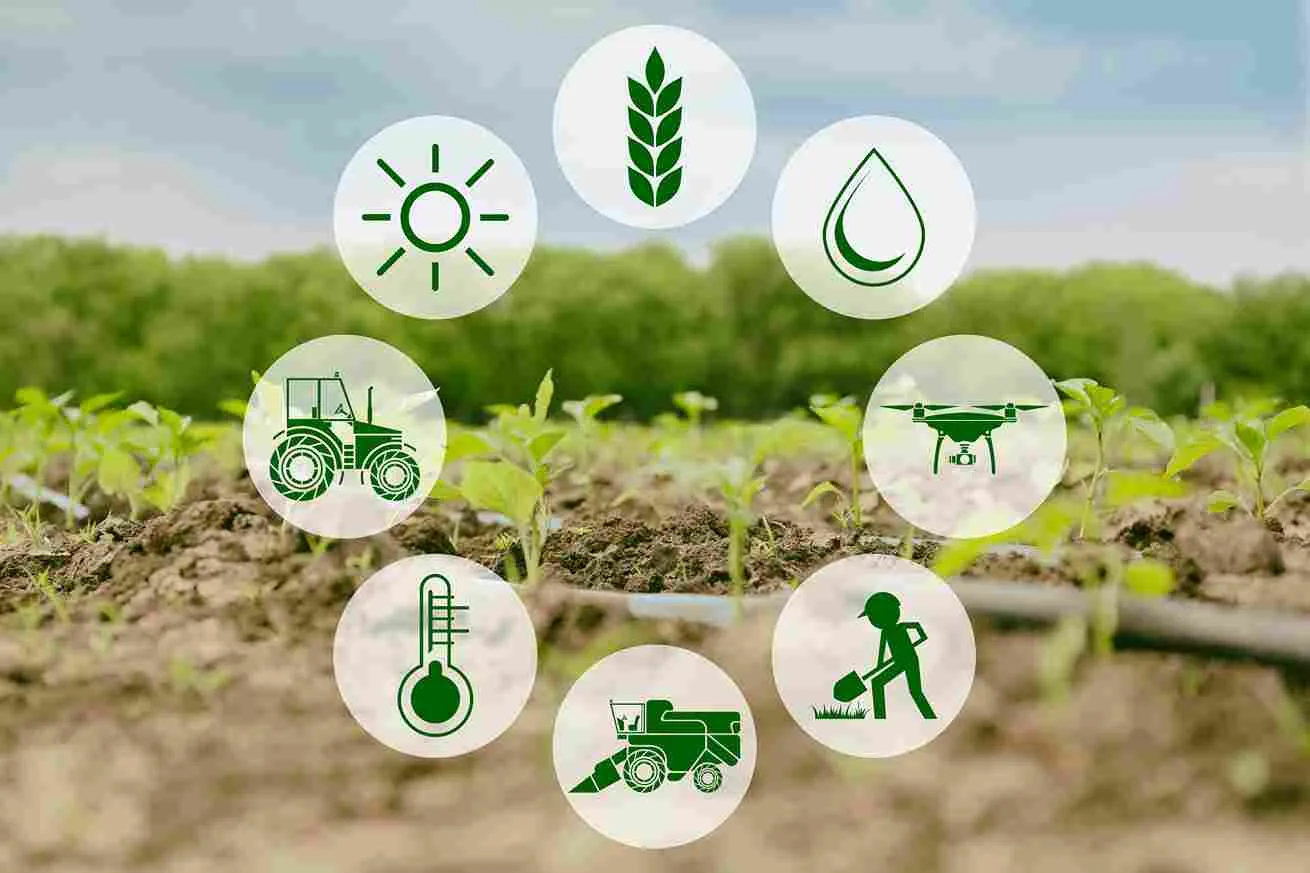 smart_farming_methods_for_crops_indochem_agrovet_blog_image