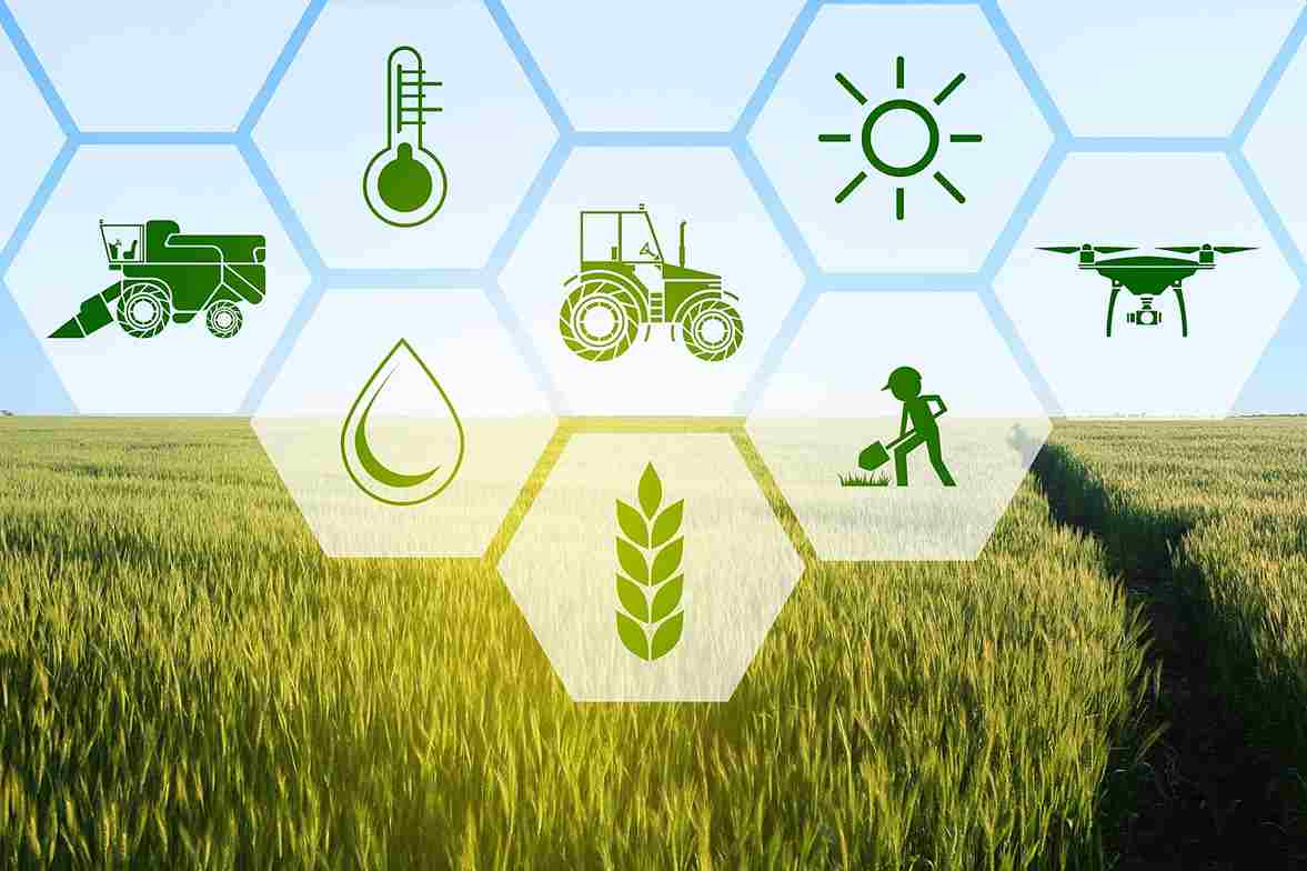 smart_farming_with_organic_inputs_indochem_agrovet_blog_image