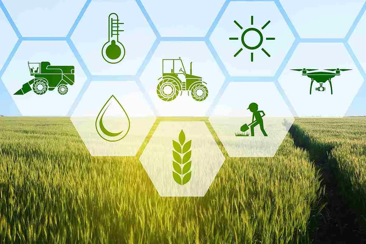 smart_farming_with_organic_inputs_indochem_agrovet_blog_image