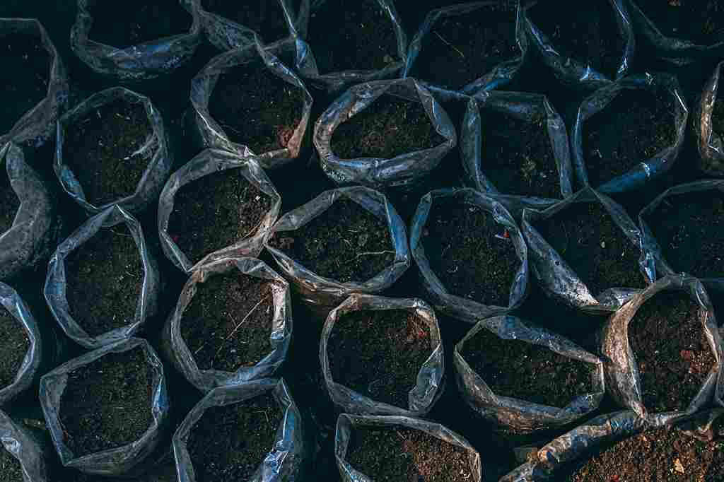 soil_enrichment_for_better_crop_yield_indochem_agrovet_blog_image
