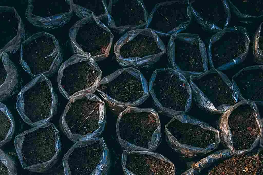 soil_enrichment_for_better_crop_yield_indochem_agrovet_blog_image