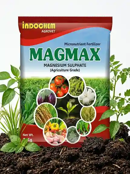 effective_soil_health_improvement_guide_indochem_agrovet_blog_image