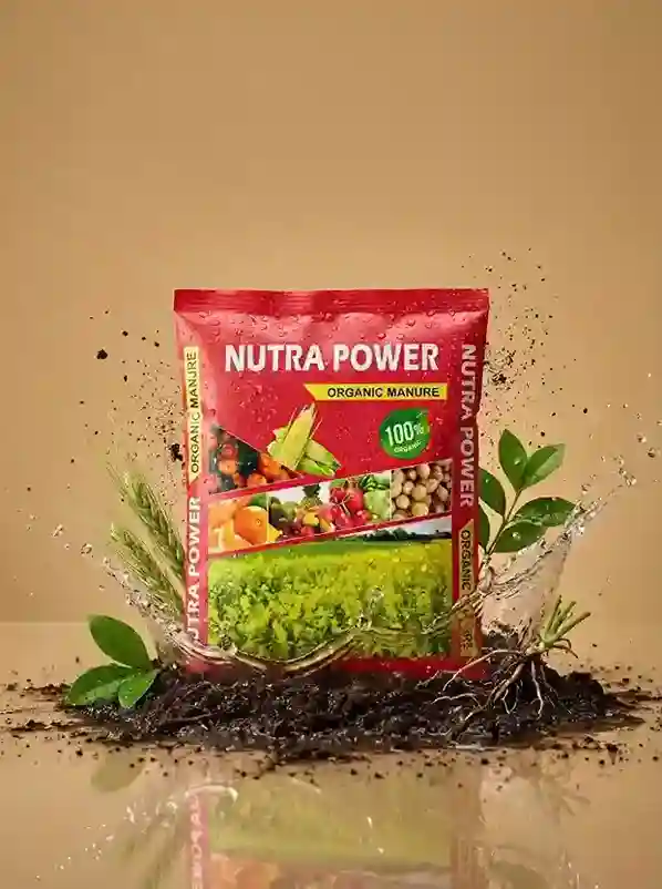 natural_farming_for_higher_harvests_indochem_agrovet_blog_image
