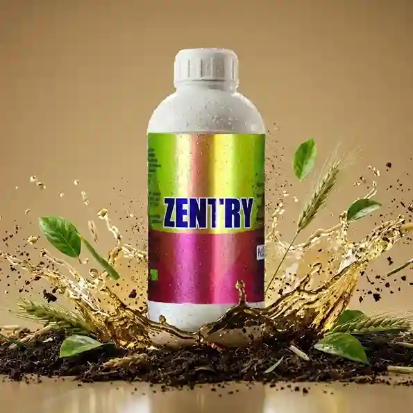 plant_growth_promoters_in_farming_indochem_agrovet_blog_image