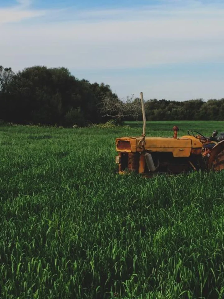 Tractor working a green crop field under an open sky Tractor working a green crop field under an open sky