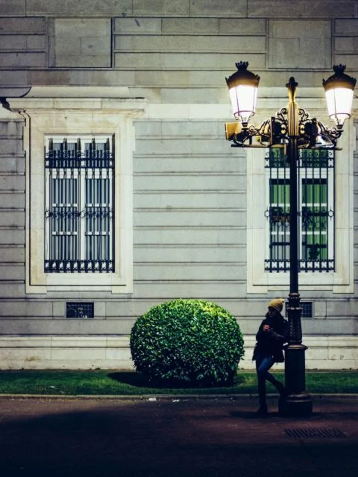 Landscaped shrubs and a building facade lit at night