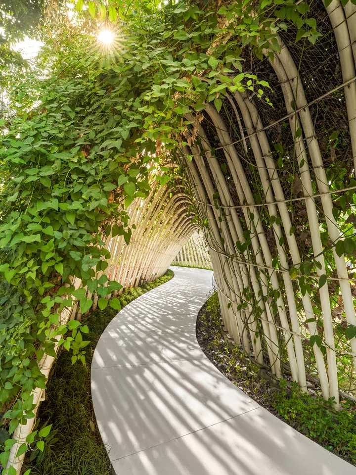 Curved garden walkway enclosed by a trellis of climbing plants