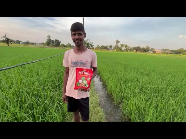 Bhupushti Gold Results in Aquaculture, Nadia, West Bengal