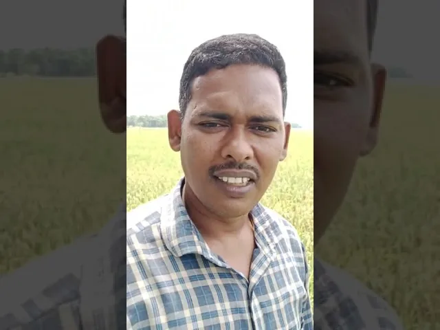 Bhupushti Gold, Fortis and Red Meal Result